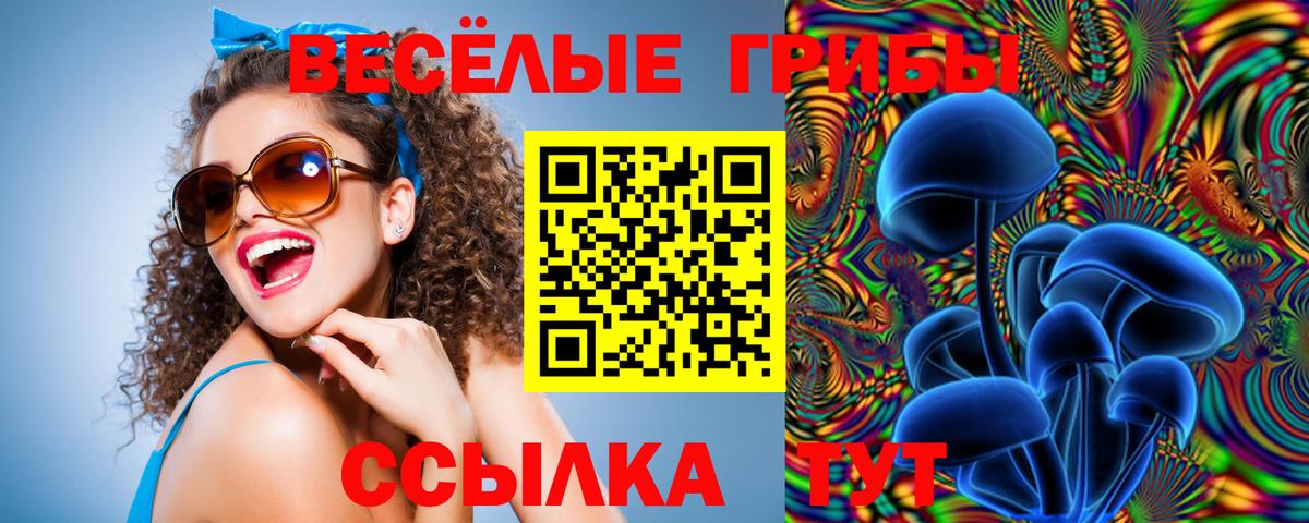 Псилоцибиновые грибы GOLDEN TEACHER  Вход с VPN  Полысаево 